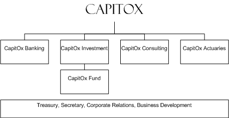 CapitOx structure
